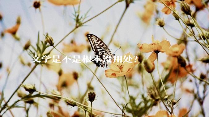 文学是不是根本没用处？