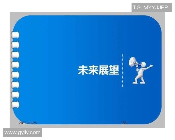 南京羽毛球队状态分析与未来发展展望探讨