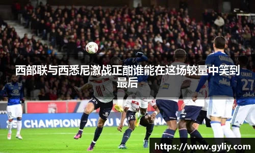 球王会体育平台