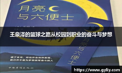 王泉泽的篮球之路从校园到职业的奋斗与梦想