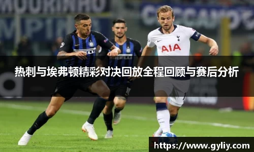 热刺与埃弗顿精彩对决回放全程回顾与赛后分析