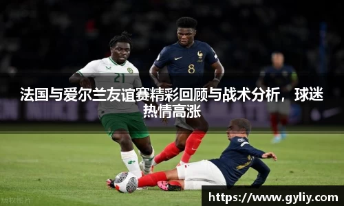 法国与爱尔兰友谊赛精彩回顾与战术分析，球迷热情高涨