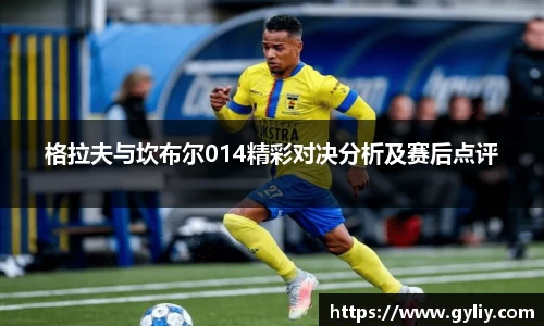 格拉夫与坎布尔014精彩对决分析及赛后点评